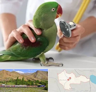 درمانگاه شبانه روزی پرندگان در خاش