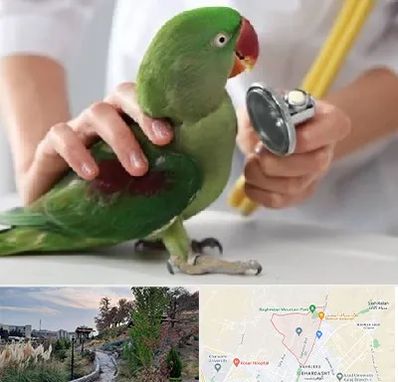 درمانگاه شبانه روزی پرندگان در باغستان کرج