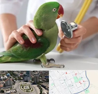 درمانگاه شبانه روزی پرندگان در زرافشان اسلامشهر