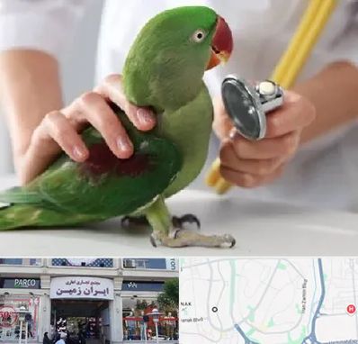 درمانگاه شبانه روزی پرندگان در ایران زمین