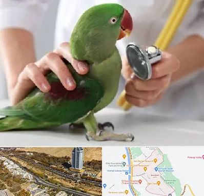 درمانگاه شبانه روزی پرندگان در خیابان نیایش شیراز