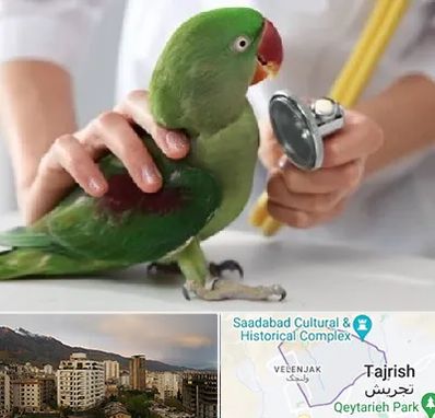 درمانگاه شبانه روزی پرندگان در زعفرانیه 