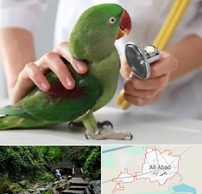 درمانگاه شبانه روزی پرندگان در علی‌ آباد کتول