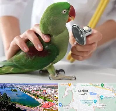 درمانگاه شبانه روزی پرندگان در لاهیجان