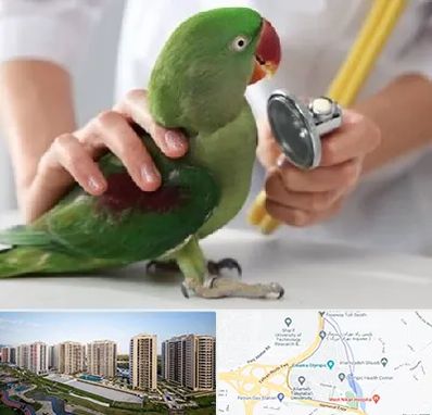 درمانگاه شبانه روزی پرندگان در المپیک 