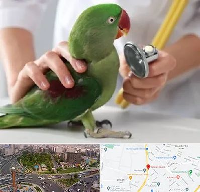 درمانگاه شبانه روزی پرندگان در سبلان 