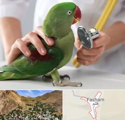 درمانگاه شبانه روزی پرندگان در فشم