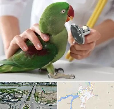 درمانگاه شبانه روزی پرندگان در میاندوآب