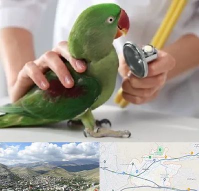 درمانگاه شبانه روزی پرندگان در رودهن