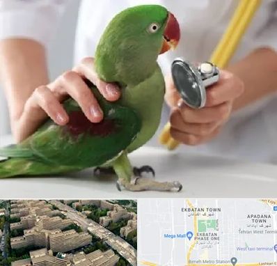 درمانگاه شبانه روزی پرندگان در اکباتان 