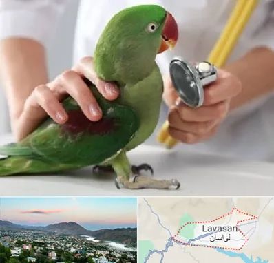 درمانگاه شبانه روزی پرندگان در لواسان