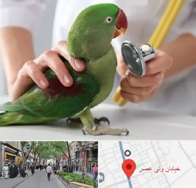 درمانگاه شبانه روزی پرندگان در ولیعصر شهریار