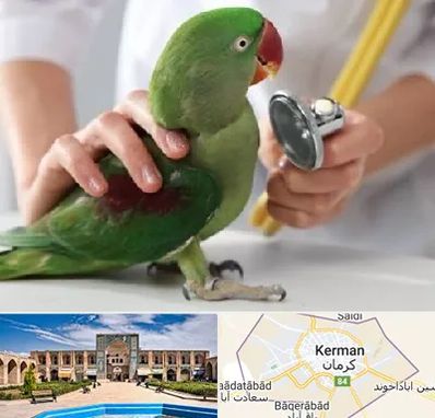درمانگاه شبانه روزی پرندگان در کرمان