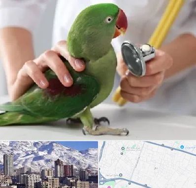 درمانگاه شبانه روزی پرندگان در ازگل