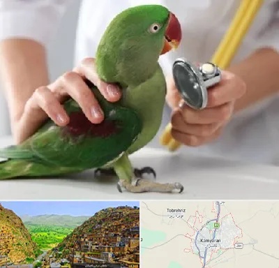 درمانگاه شبانه روزی پرندگان در کامیاران