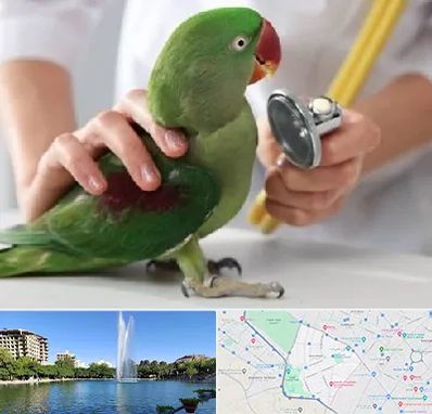 درمانگاه شبانه روزی پرندگان در کوهسنگی مشهد