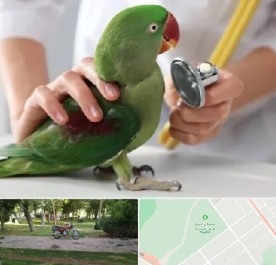 درمانگاه شبانه روزی پرندگان در مشیریه