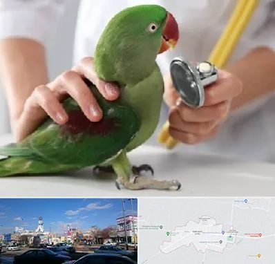 درمانگاه شبانه روزی پرندگان در ماهدشت کرج