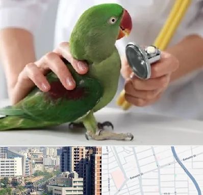 درمانگاه شبانه روزی پرندگان در خیابان بهشتی