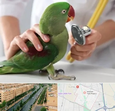 درمانگاه شبانه روزی پرندگان در فاز سه اندیشه
