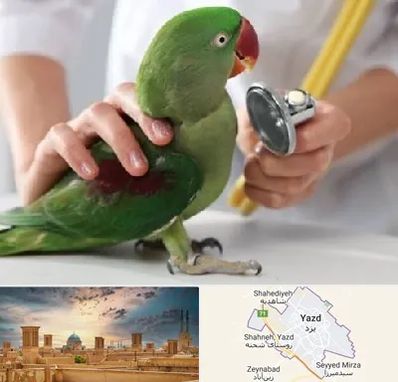درمانگاه شبانه روزی پرندگان در یزد
