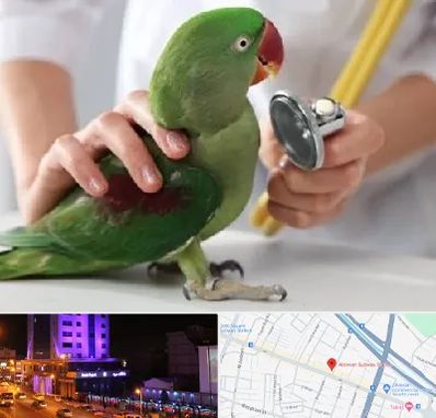 درمانگاه شبانه روزی پرندگان در آبرسان تبریز