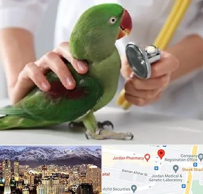 درمانگاه شبانه روزی پرندگان در جردن 