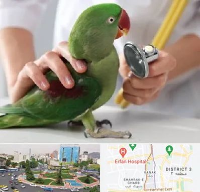 درمانگاه شبانه روزی پرندگان در ونک 