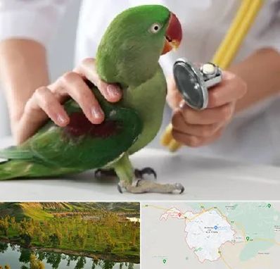 درمانگاه شبانه روزی پرندگان در بهبهان