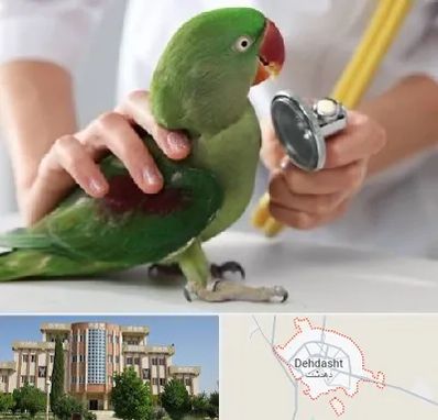 درمانگاه شبانه روزی پرندگان در دهدشت