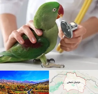 درمانگاه شبانه روزی پرندگان در خراسان شمالی