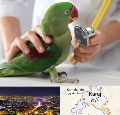 درمانگاه شبانه روزی پرندگان در کرج