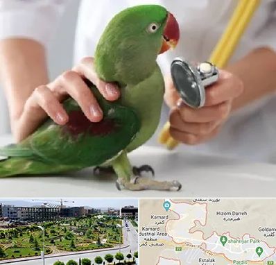 درمانگاه شبانه روزی پرندگان در پردیس