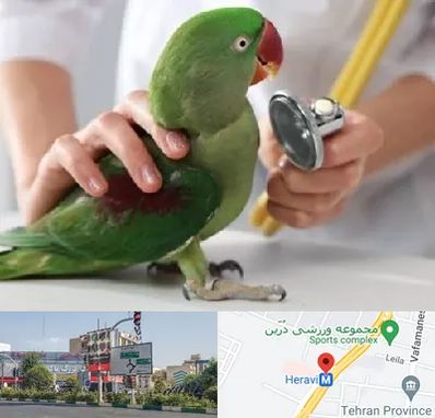 درمانگاه شبانه روزی پرندگان در هروی 