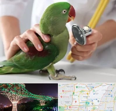 درمانگاه شبانه روزی پرندگان در منطقه 3 تهران 