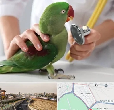 درمانگاه شبانه روزی پرندگان در جوادیه