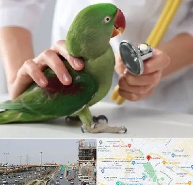 درمانگاه شبانه روزی پرندگان در بلوار توس مشهد