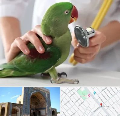 درمانگاه شبانه روزی پرندگان در مصلی مشهد