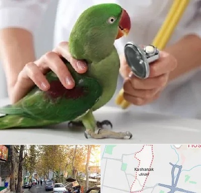 درمانگاه شبانه روزی پرندگان در کاشانک