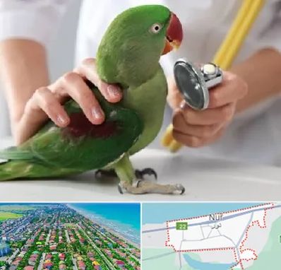 درمانگاه شبانه روزی پرندگان در نور