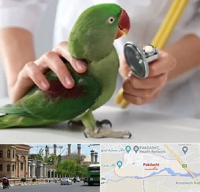 درمانگاه شبانه روزی پرندگان در پاکدشت