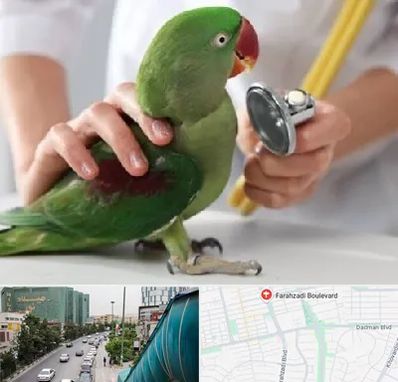 درمانگاه شبانه روزی پرندگان در بلوار فرحزادی