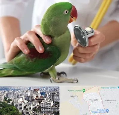 درمانگاه شبانه روزی پرندگان در ولنجک 