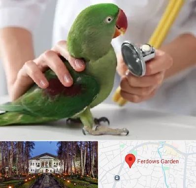 درمانگاه شبانه روزی پرندگان در باغ فردوس