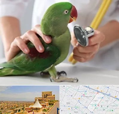 درمانگاه شبانه روزی پرندگان در هاشمیه مشهد