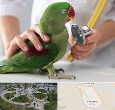 درمانگاه شبانه روزی پرندگان در ورامین