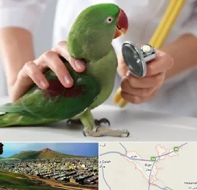 درمانگاه شبانه روزی پرندگان در بیجار