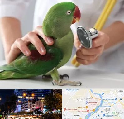 درمانگاه شبانه روزی پرندگان در کیانپارس اهواز