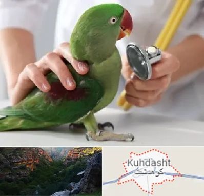 درمانگاه شبانه روزی پرندگان در کوهدشت