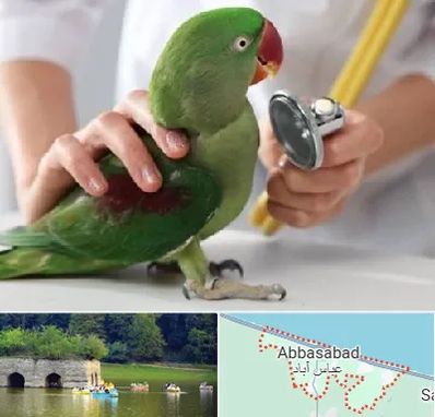 درمانگاه شبانه روزی پرندگان در عباس آباد